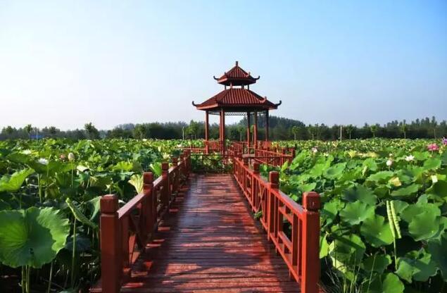 海南省农业厅办公室关于举办2017年海南“共享农庄”创建试点申报工作部署会的通知