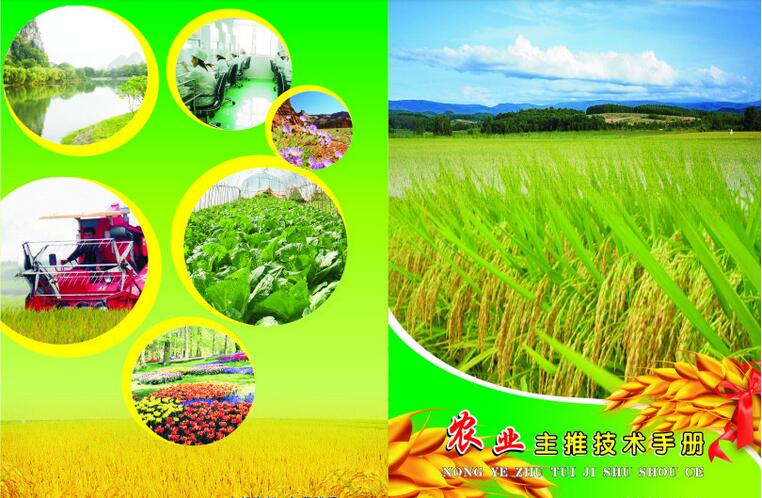 海南省农业厅关于推介发布2017年农业主推技术的通知