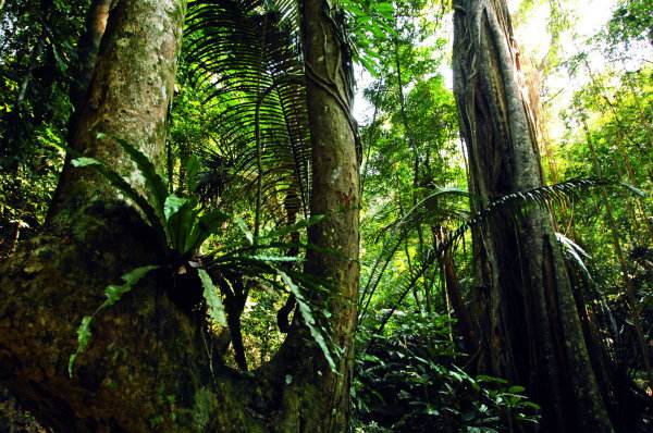海南热带雨林国家公园征集创新课题研究方案